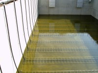 /album/mjelkopuzyrchataja-aeratsija-akon-fotogaljerjeja/schlang-resotlka-jpg/